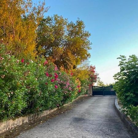 Domaine Mare E Monti - T1 Le Maquis Διαμέρισμα Albitreccia Εξωτερικό φωτογραφία
